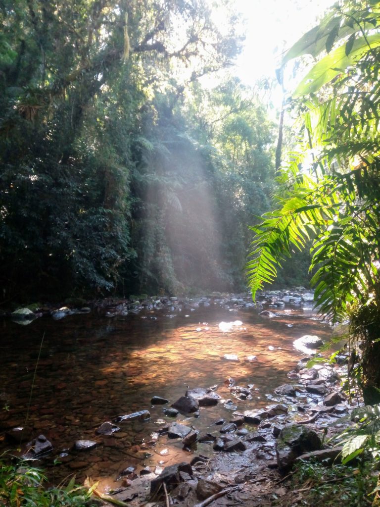 Aventuras do Abilio Cachoeira dos Ciganos - São José dos Pinhais