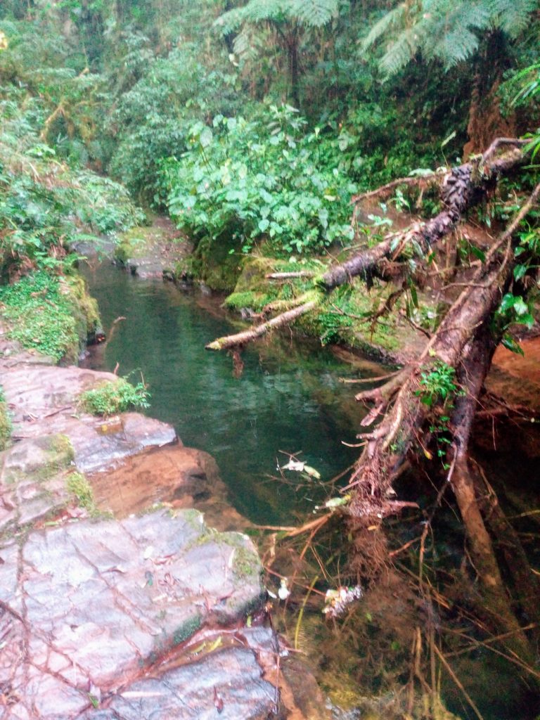 Aventuras do Abilio Cachoeira dos Ciganos - São José dos Pinhais